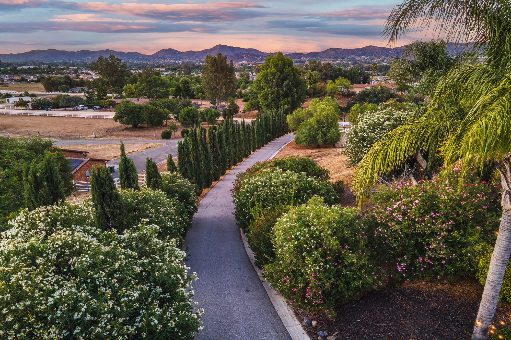 Cypress-lined driveway